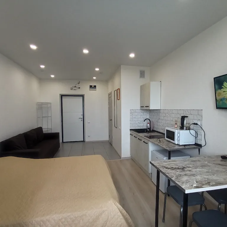 Уютная студия с видом на реку