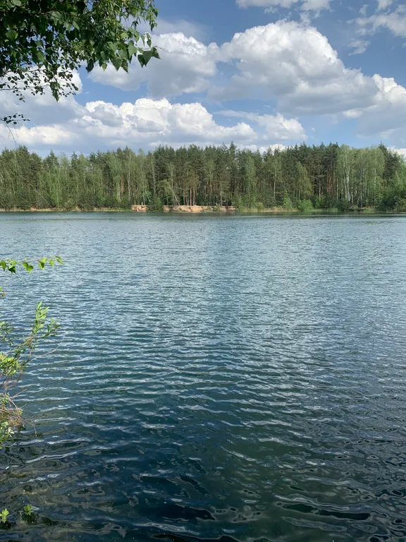 Уютный дом у леса и озера