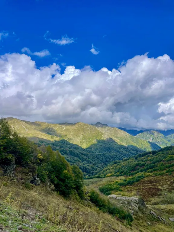 Коттедж Уютный коттеджный эко-домик рядом с морем ))) — Сухум