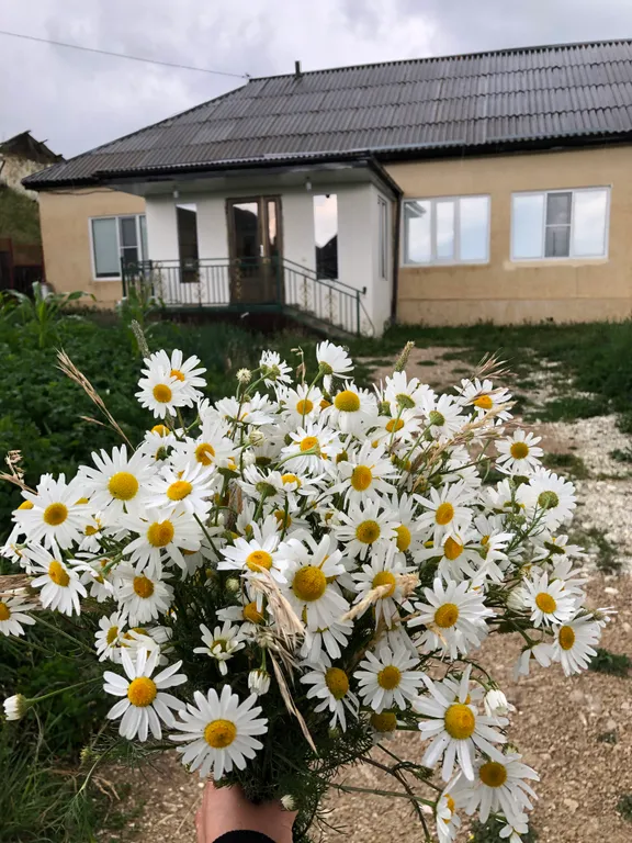 Уютный Дом С Видом На Горы