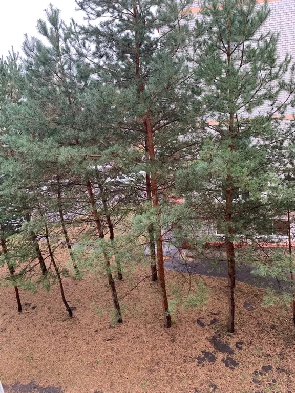 Просторная квартира