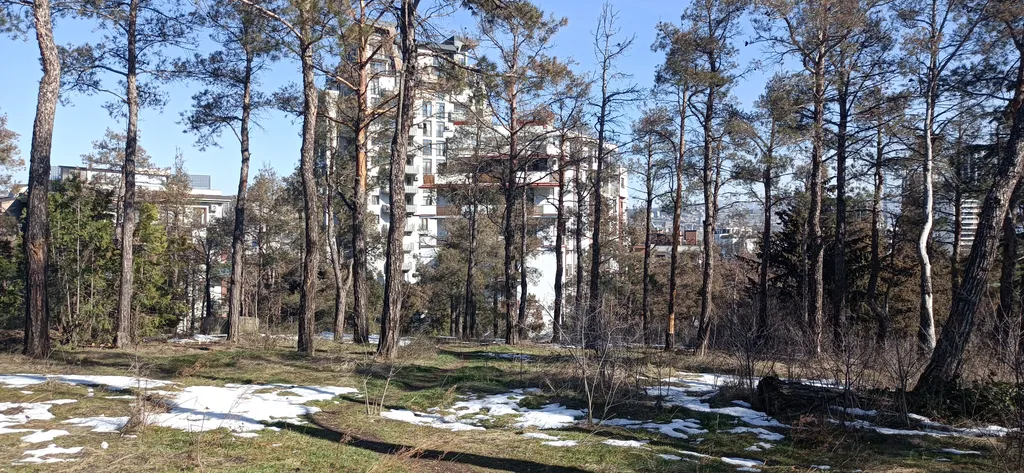 Двухкомнатный номер в мини-отеле у Этнографического музея