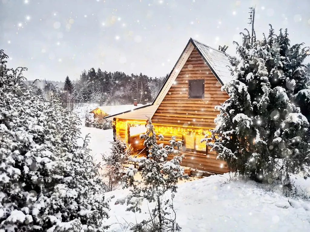 Усадьба Медвежий угол в лесу на берегу озера