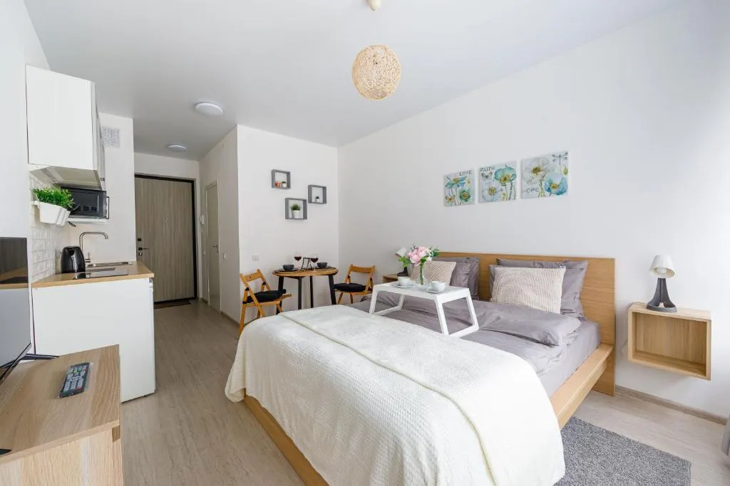 Студия со скандинавским стилем в центре города