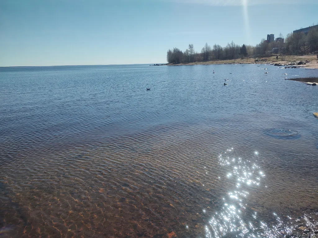 Евродвушка с камином на берегу Онежского озера