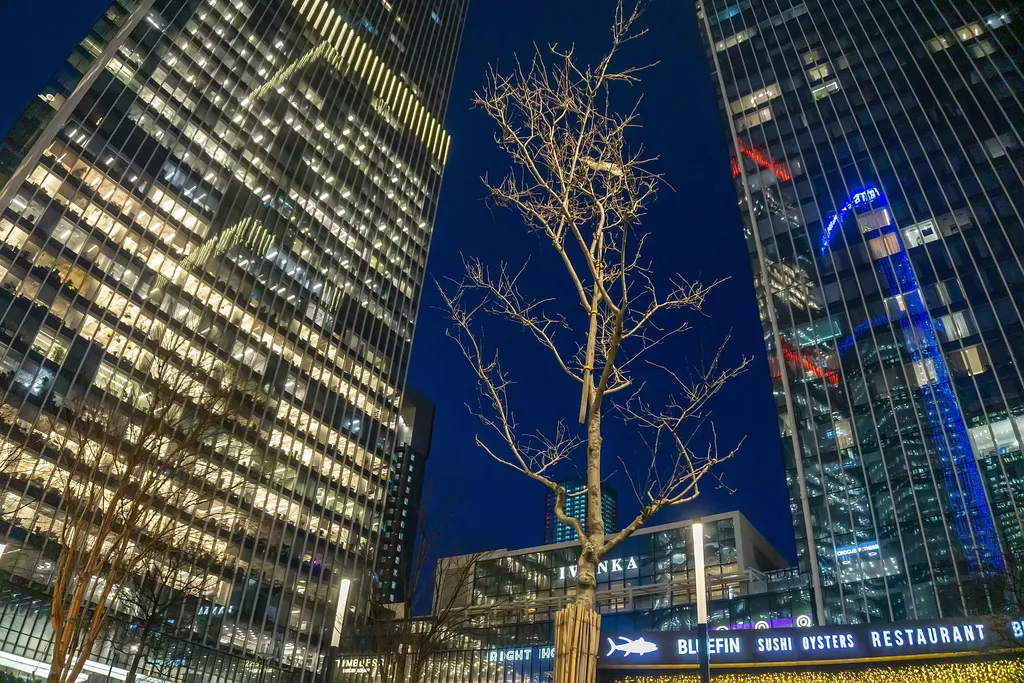 Люкс с роскошной ванной