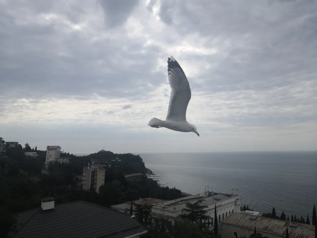 Пентхаус с шикарным видом на море и горы, бесплатная парковка