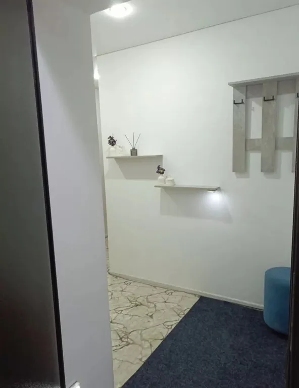 Уютная однокомнатная квартира