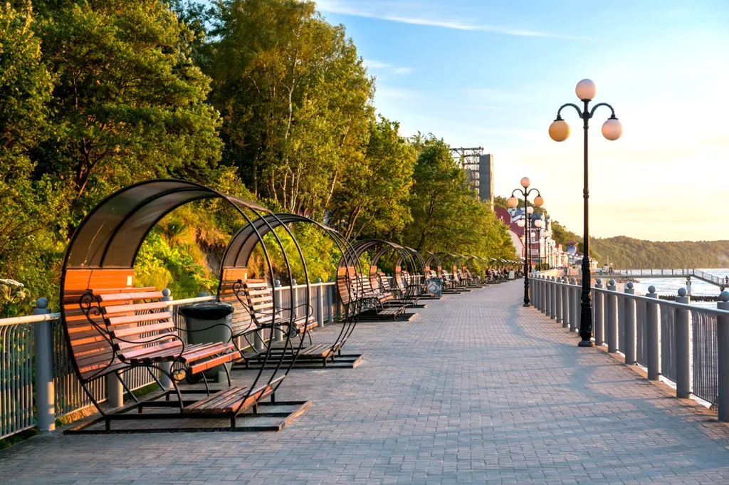 Фиола на холме