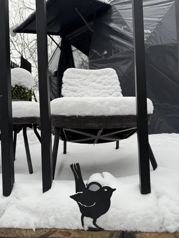 Новая сфера для глэмпинга Бёрд&Self vibe с дизайнерским интерьером