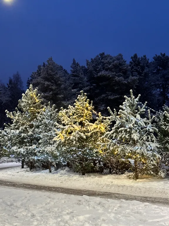 Квартира на берегу Финского залива в ЖК Светлый Мир