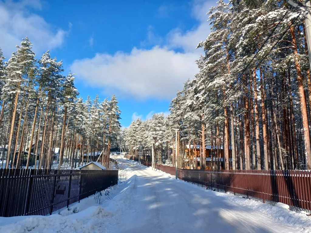 Уютный новый дом в сосновом лесу на берегу Финского залива