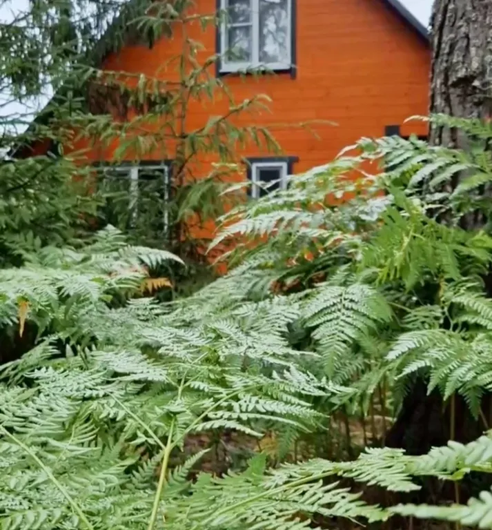 Загородный дом в живописном месте