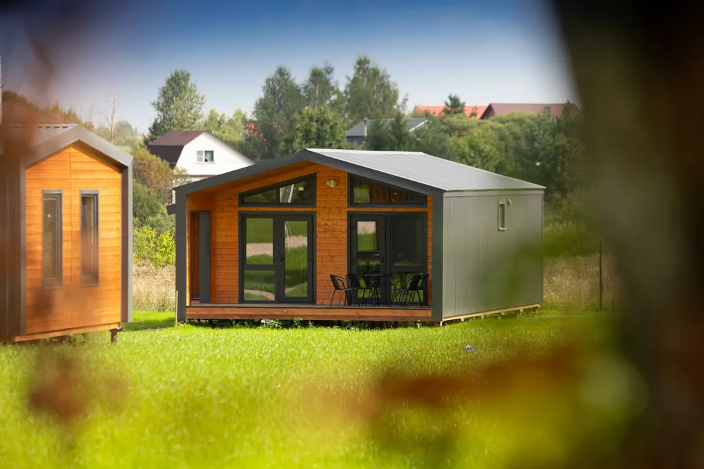 Виноградная лоза