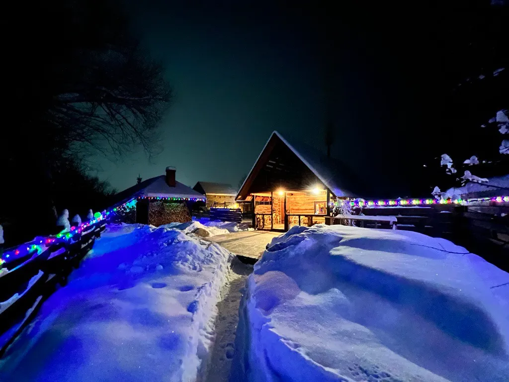 Кедровый уют у реки, ваше восстановление на Алтае
