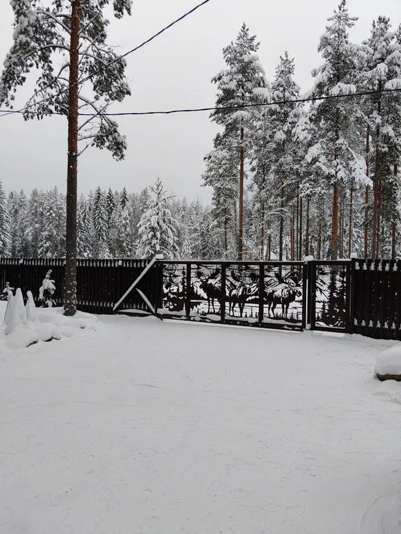 Коттедж Гостевой дом Медвежий угол — аренда посуточно в Петрозаводск