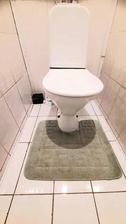 Уютная трёхкомнатная квартира