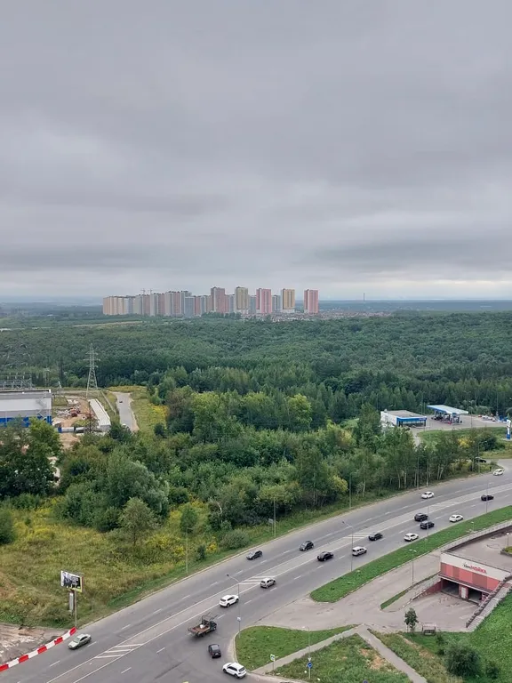 Квартира Видовая 2-комнатная квартира в ЖК Цветы — Нижний Новгород