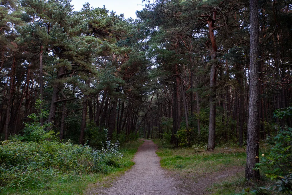 Дом с сауной и теплым бассейном