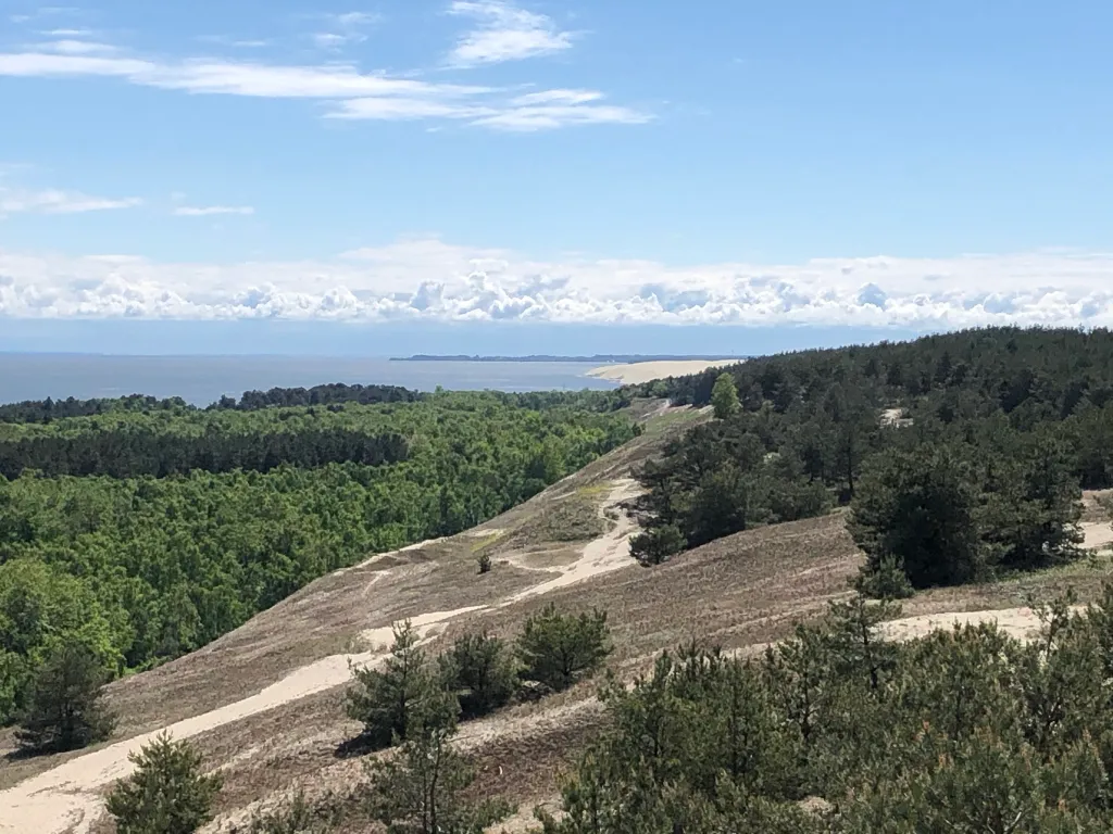 Квартира Апартаменты Baltic Sea 1 — Зеленоградск