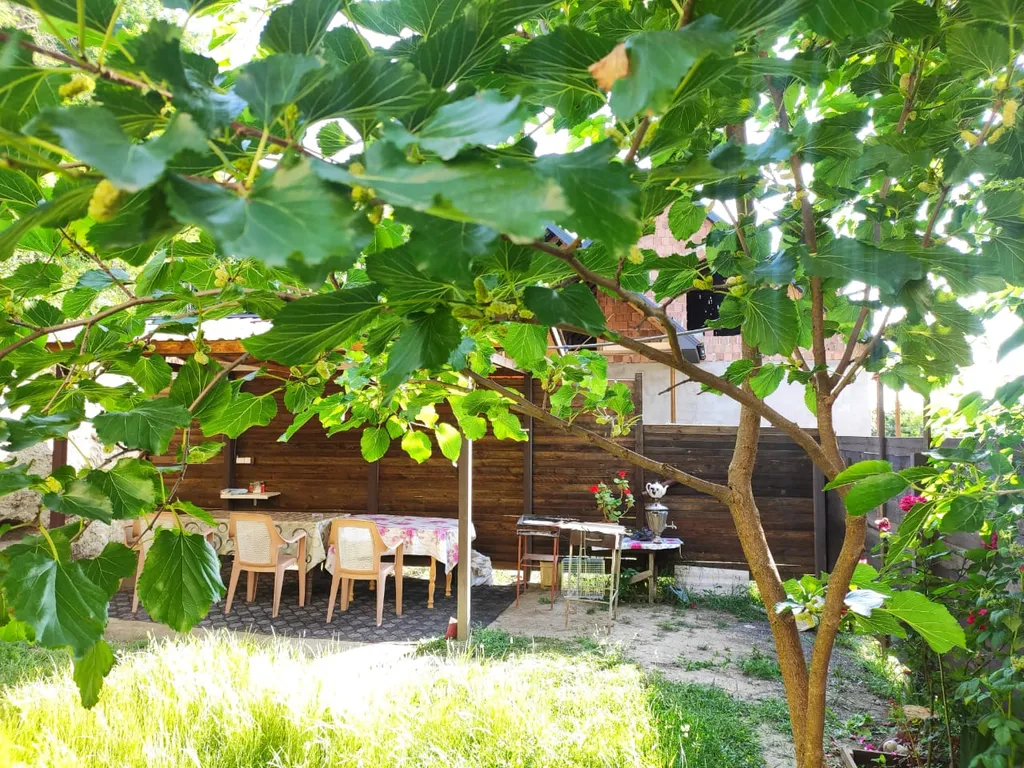 Guest house 119 с видом на горы, лес, двор