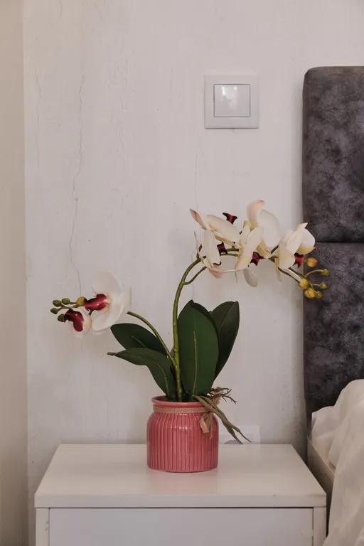 Люкс-апартаменты в центре города