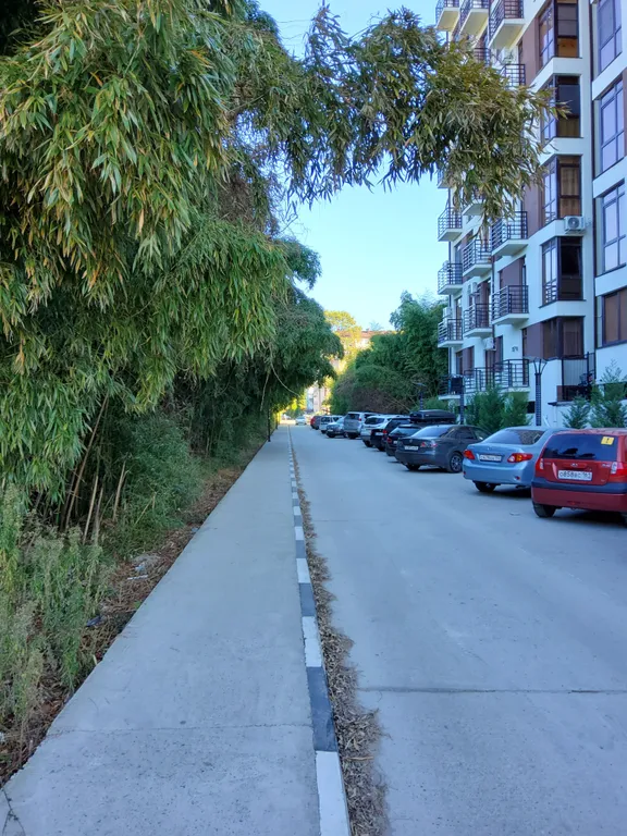 Квартира 1-комнатная Квартира — Сириус