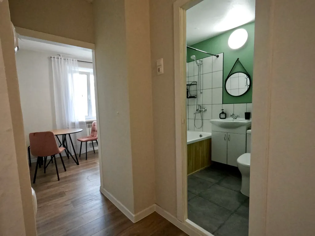 Однокомнатная квартира на Древлянке