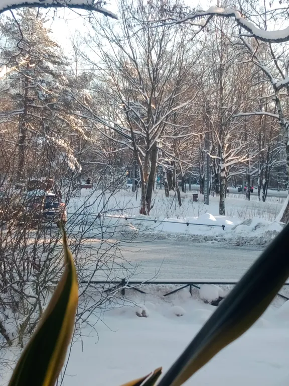 Квартира Квартира от собственника в Курортном районе, Песочный — Песочный