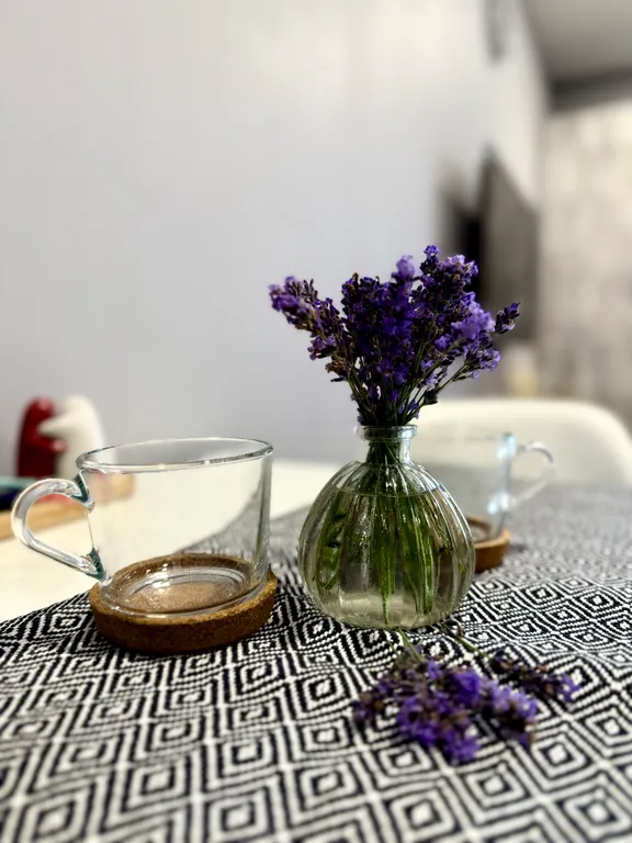 Стильная видовая студия в центре города