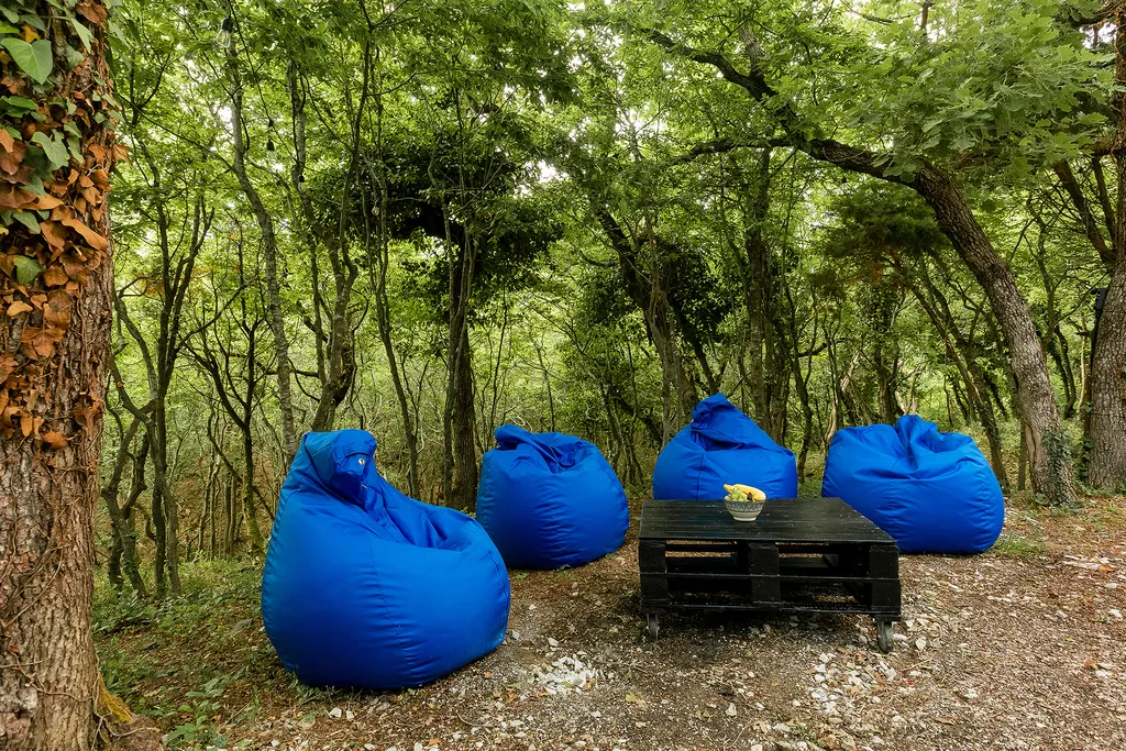 Панорамные апартаменты делюкс с террасой и видом на парк