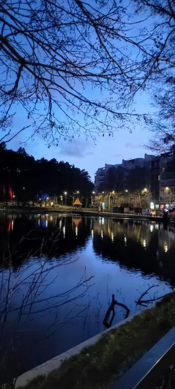 Квартира Уютная новая квартира у озера — Светлогорск