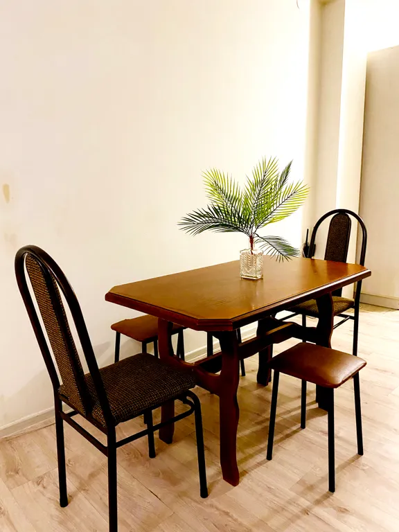 Квартира Уютная квартира в Центральном районе Сочи на первой линии от моря — Сочи