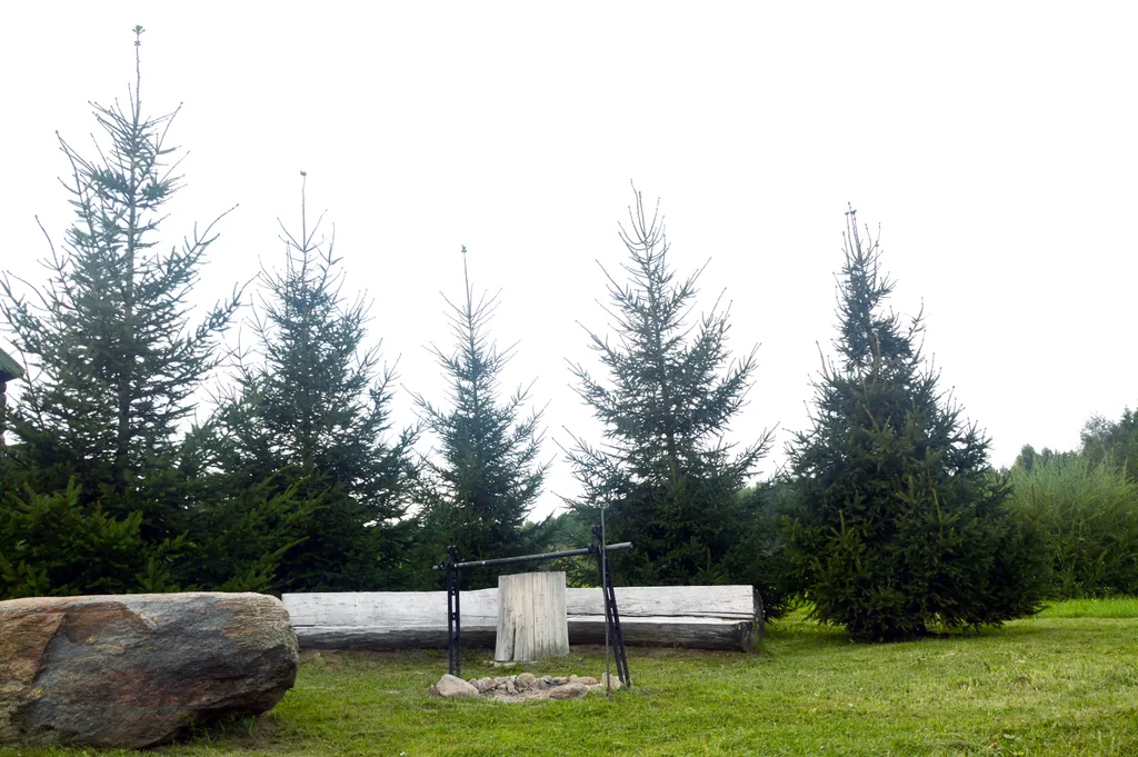 Агроусадьба у Топтыгина