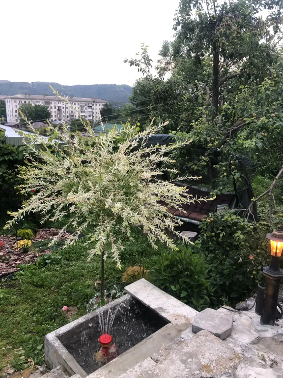 Коттедж 2-комнатный Дом — Кисловодск