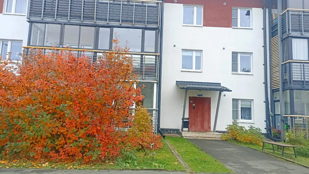 Уютная студия Есения