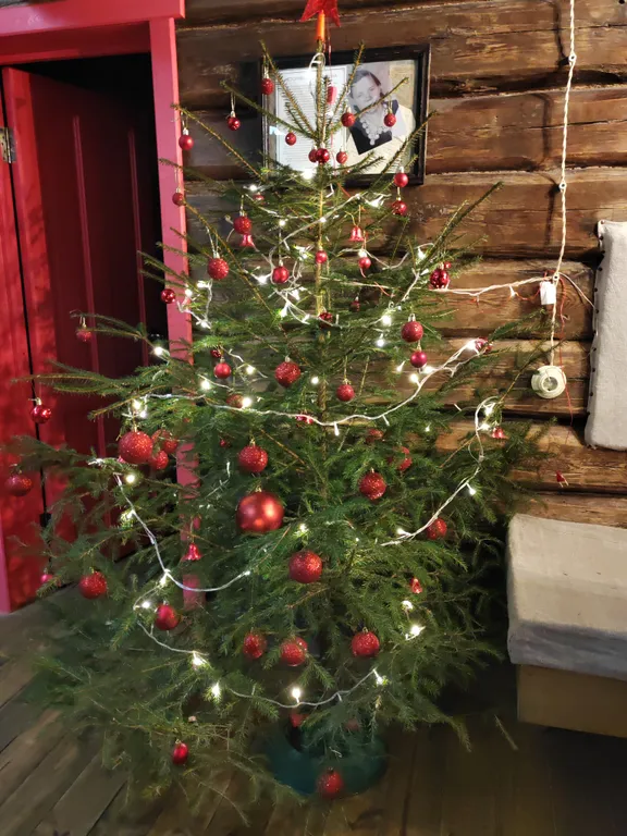 Архаичная Изба XIX века