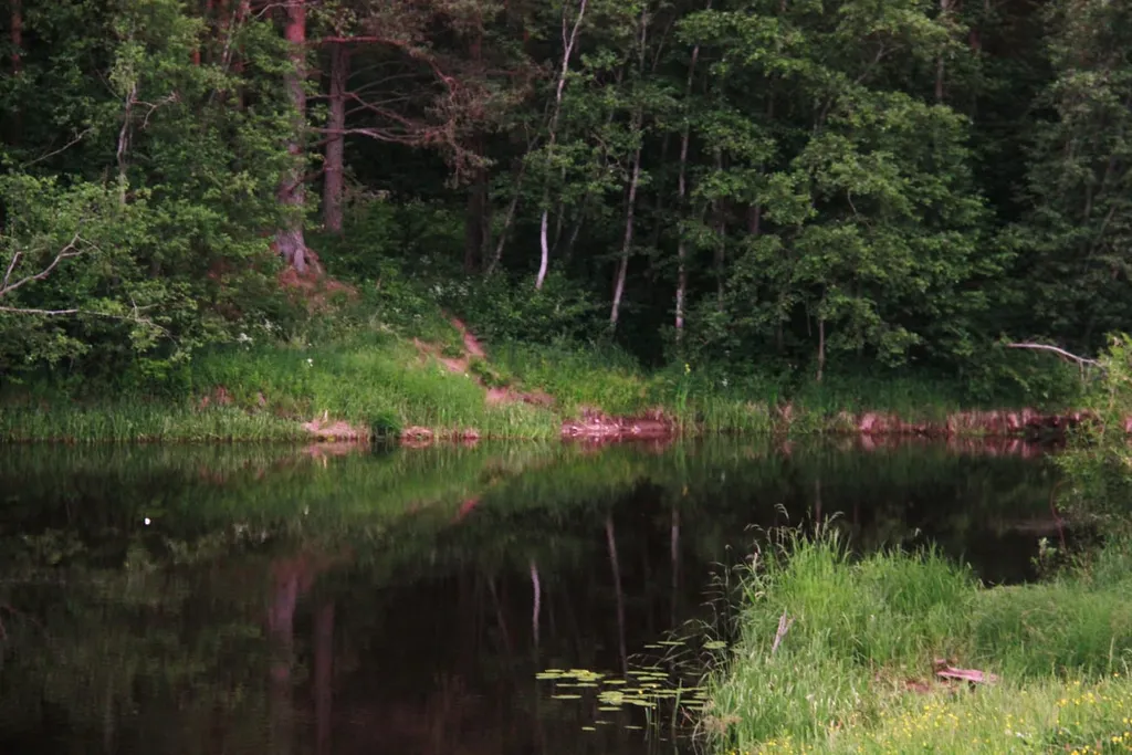 Коттедж 1-комнатный Дом — Тверь