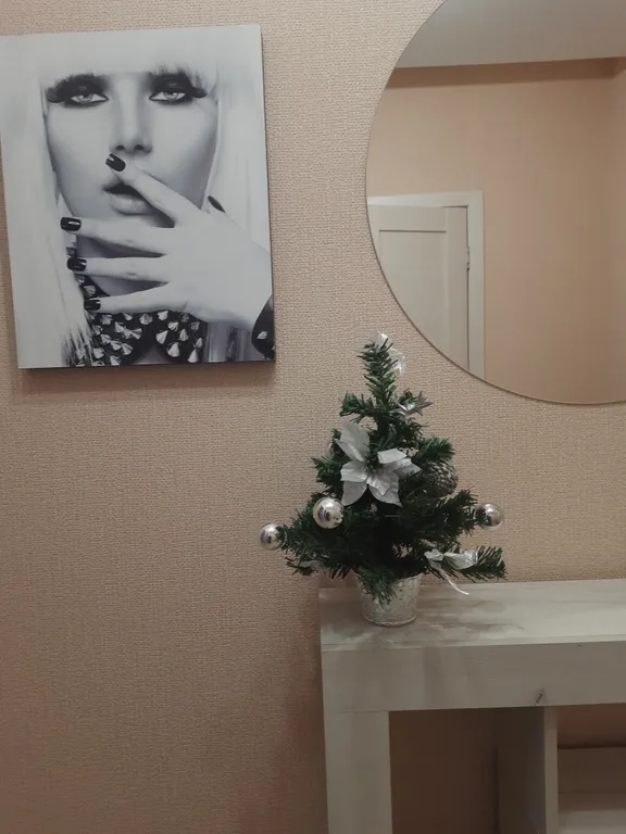 1-комнатная квартира в 100 метрах от Набережной