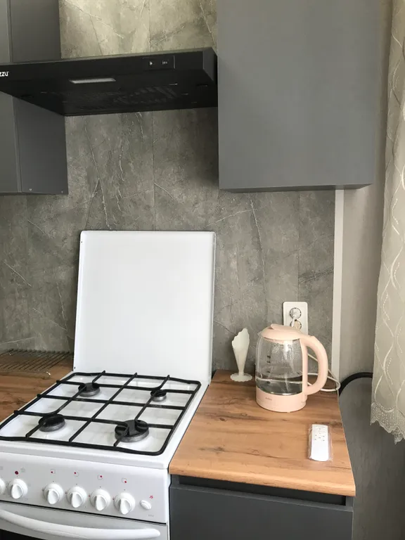 Просторная квартира в центре города