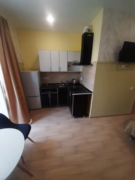 Квартира 1-комнатная Квартира — Сириус