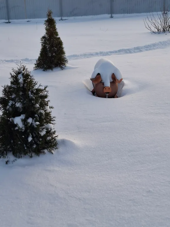 Дом Абрикосовка