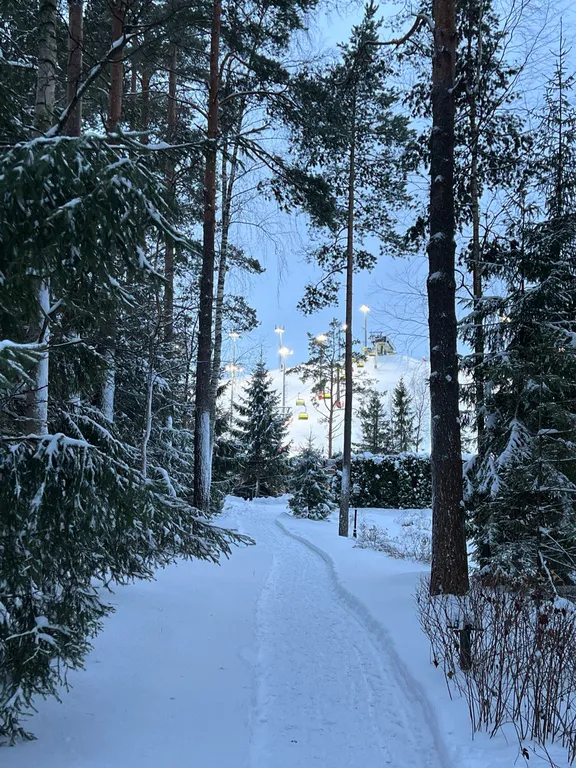 Апартаменты Ohta Hills