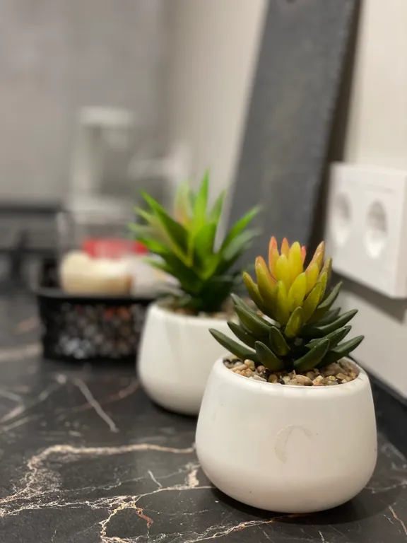 Апартаменты в центре