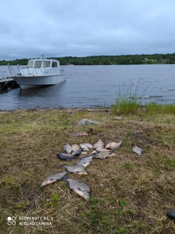 Уютный дом на Онежском озере