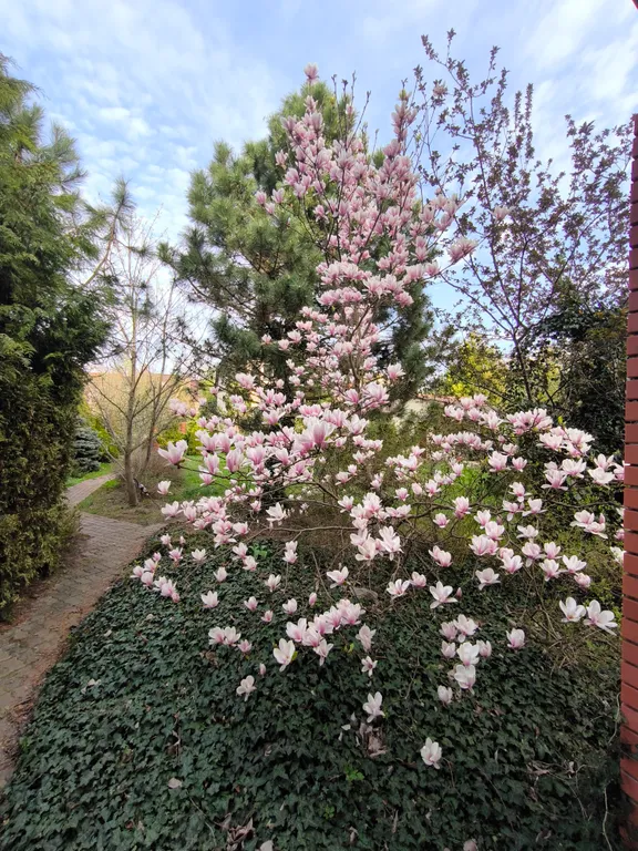 Деревенский дом у моря