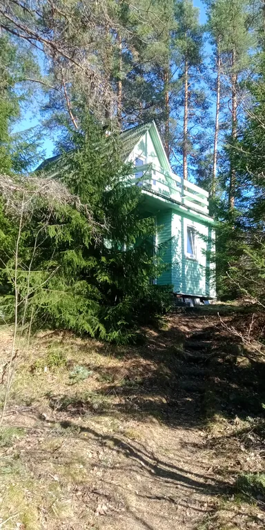 Лесная сказка на берегу Ладоги