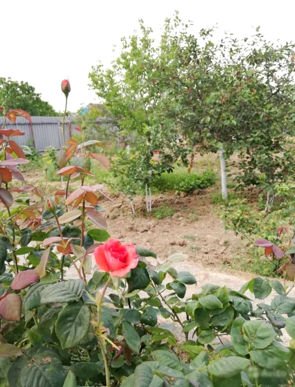 Коттедж Загородный дом — аренда посуточно в Хазар