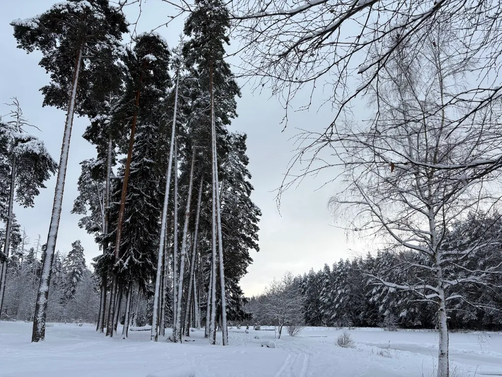 Дача в Заветах Ильича