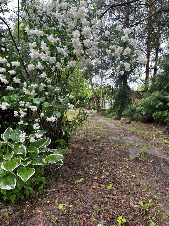 Коттедж Дом с баней, барбекю зоной и большой беседкой — Новый Городок